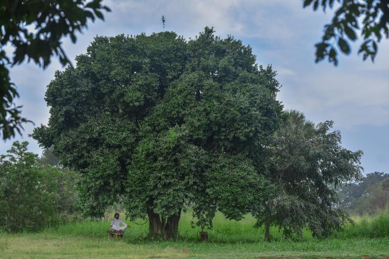 Subaseth Villa Anuradhapura Esterno foto